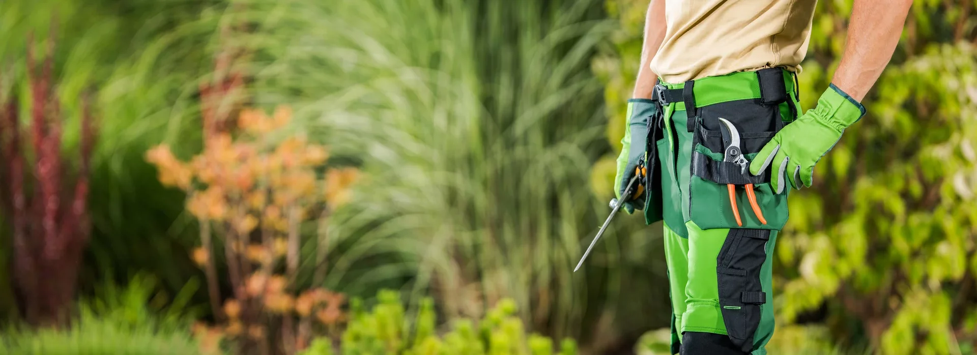 VIP starostlivosť o záhradu – profesionálna celoročná údržba zelene VIP starostlivosť o záhradu – profesionálna celoročná údržba zelene